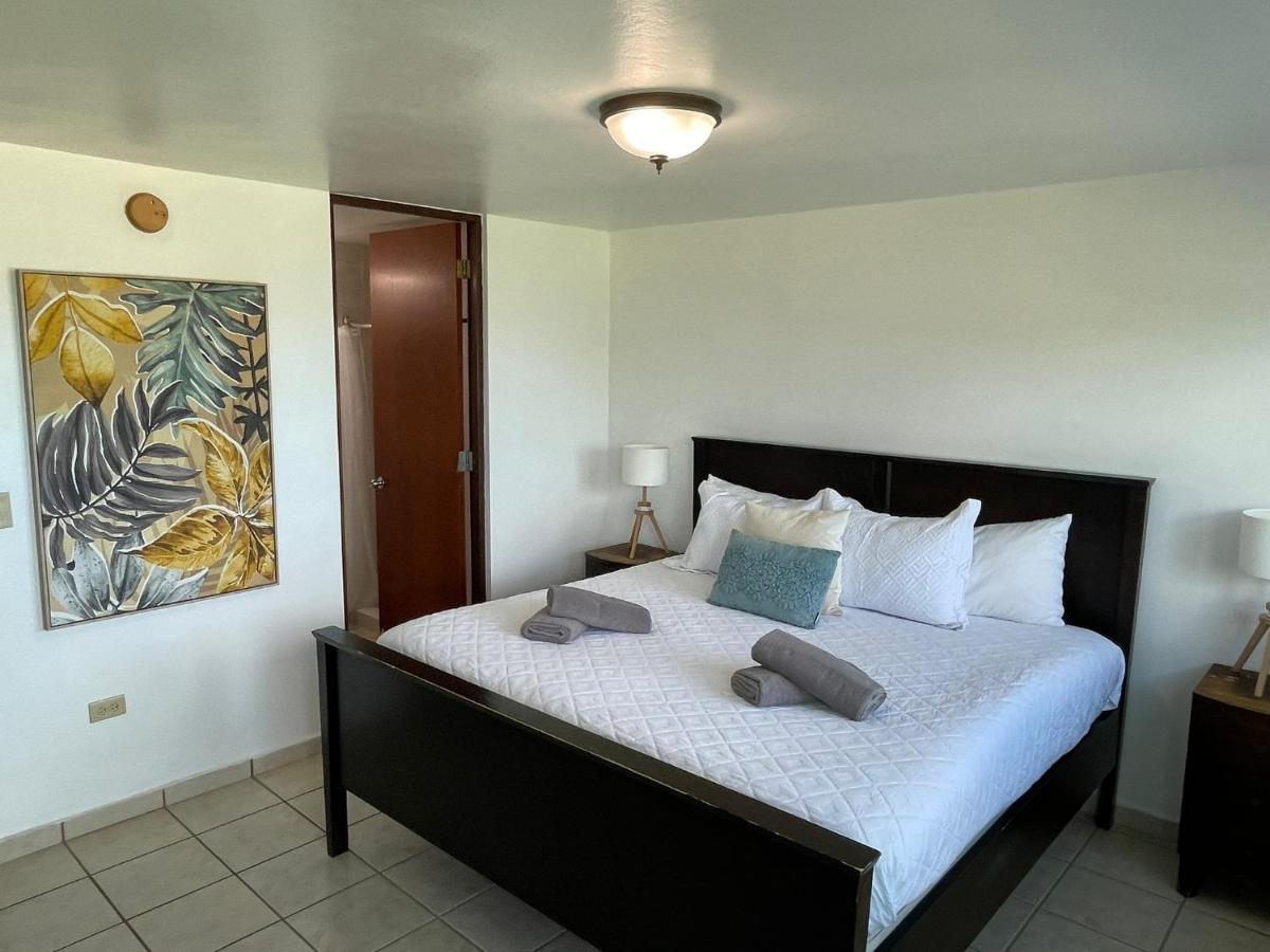 Costa Mar Beach Front Apartment Whith Pool Loiza Екстер'єр фото